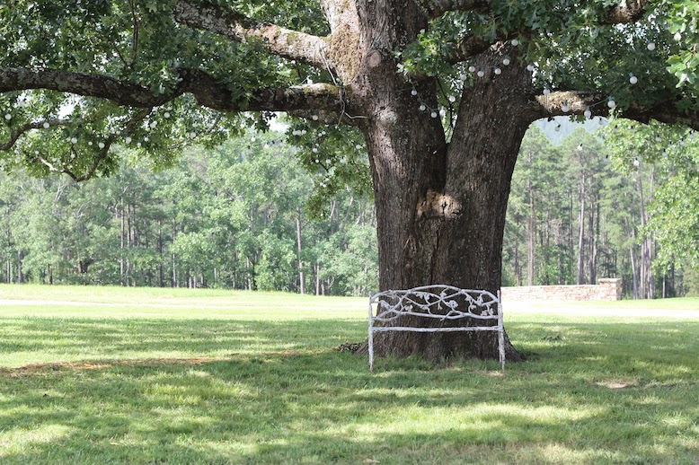 #farm2home14 P.AllenSmith GardenHome ArkansasGrown champion tree (c)nwafoodie