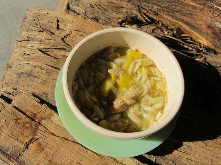 orzo, yellow squash and chicken soup with sage (c)nwafoodie