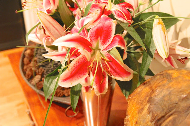 Stargazer Barn Gazing Gift Collection - up close PallenSmith (c)nwafoodie AD
