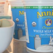 Shop Your Pantry - over abundance of plain yogurt (c)nwafoodie