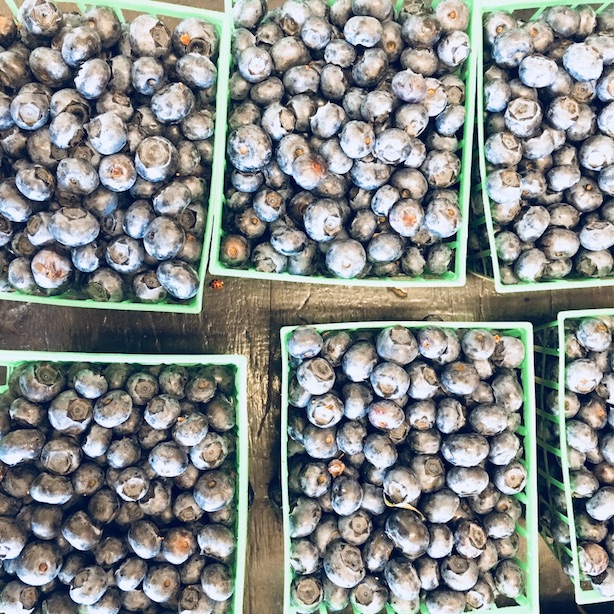 How to eat fresh from the garden - roadside blueberries (c)nwafoodie