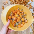 How to make wild persimmon pulp - main