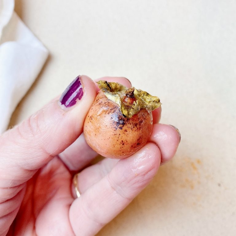 Want To Learn How To Make Wild Persimmon Pulp? Simple Joyful Food