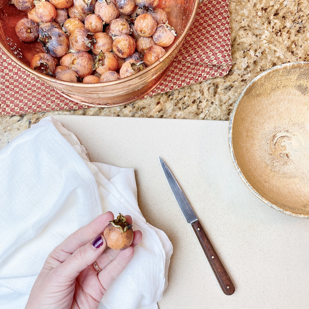 How-to-make-wild-persimmon-pulp-prep