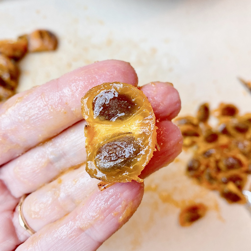 How-to-make-wild-persimmon-pulp-seeds-up-close