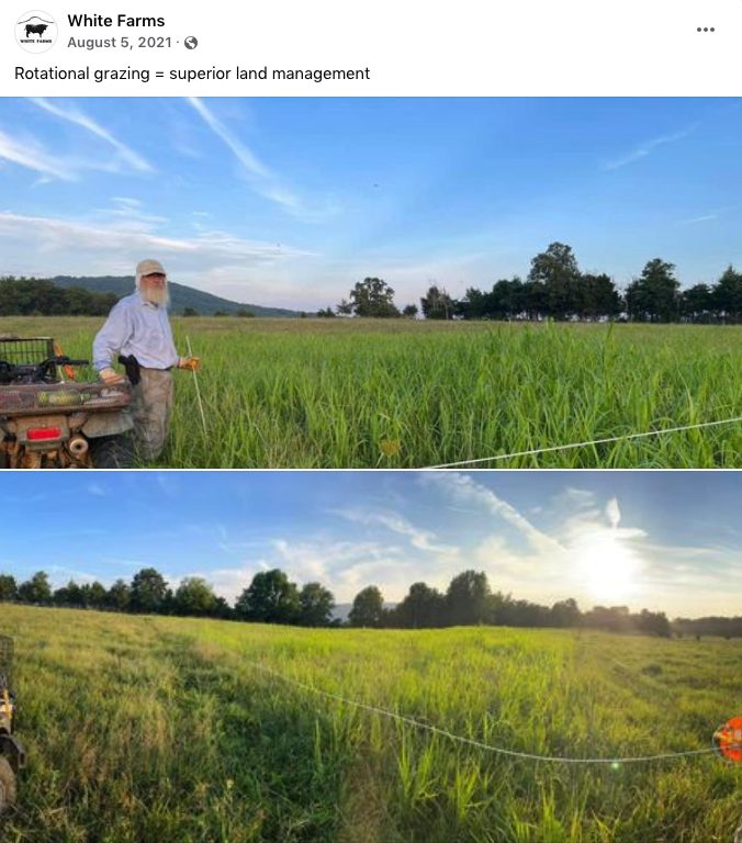White-Farms-Farmer-George-rotational-grazing