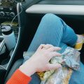 girl in car with bags of snacks on her lap