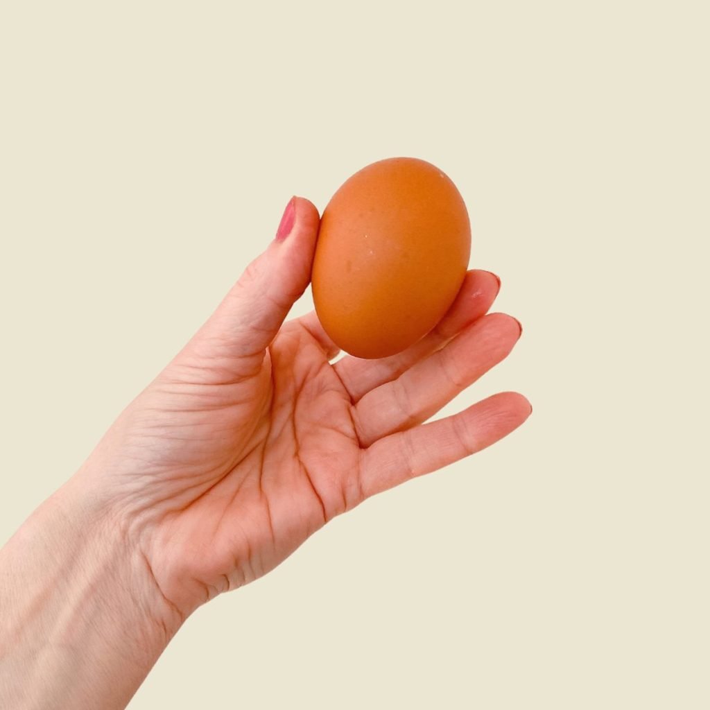 hand holding an egg